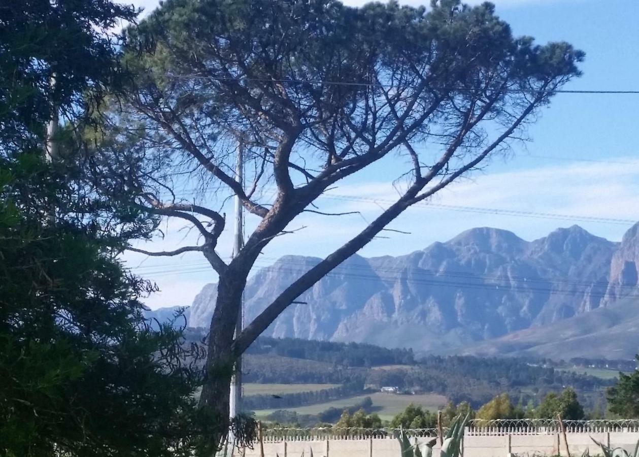 Weavers' Gordonʼs Bay