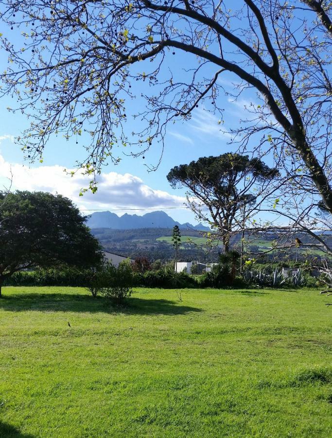 Weavers' * Gordonʼs Bay